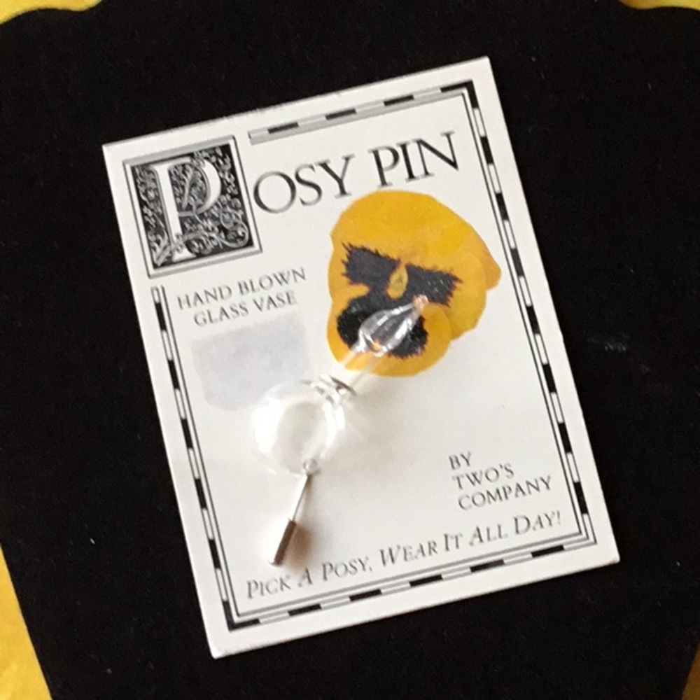 Posy Pin. Holds a real flower!